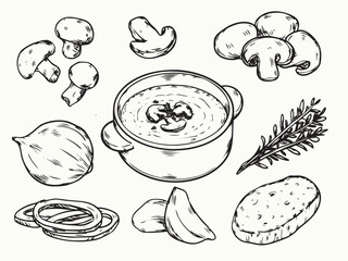 Hand drawn mushroom soup and ingredients outline drawing illustration