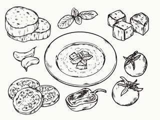 Hand drawn roasted tomato soup and ingredients outline drawing illustration