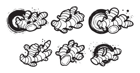 Ginger root illustrations in a stylized hand-drawn black and white ink art style featuring organic shapes and expressive brush strokes with subtle splatters.