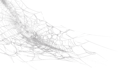 Intricate Grey Abstract Spiderweb Network Pattern Digital Art Texture Background - Monochrome Design