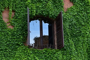 window in the green wall