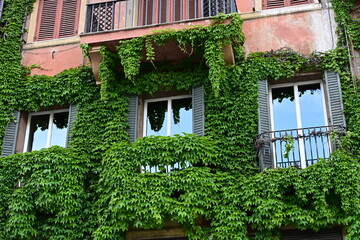 old house with green shutters