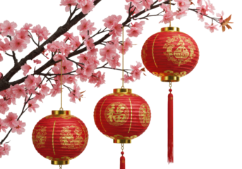 Deep crimson chinese lanterns detailed with golden filigree, suspended from a pink cherry blossom branch, isolated on a white background, macro studio photo. Concept of lunar new year celebration