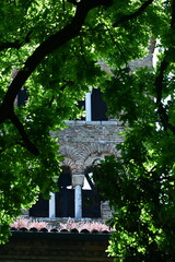 old church in the woods