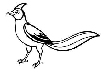 Lunara bird line art white background 