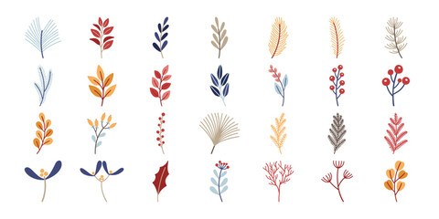 Vector set of winter and autumn botanical elements. Collection of colorful leaves, berries, pine branches and twigs isolated on white