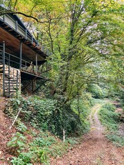 Fototapeta premium Modern Forest Cabin with Balcony Overlooking Dirt Path