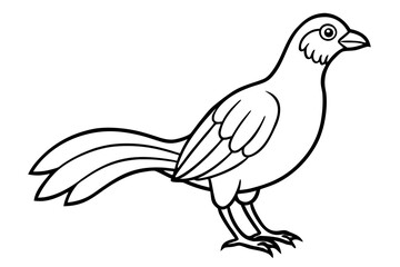 Aurelia bird line art white background 