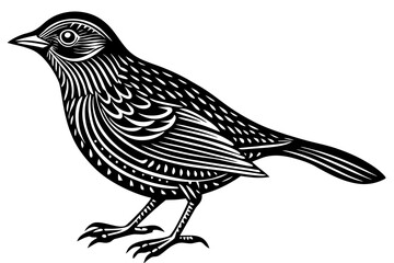 Obraz premium Aurelia bird linocut art white background 