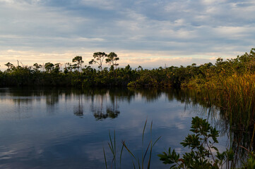 Blue Hole, sur l'île de Big Pine Key dans les Keys, Floride, Usa, par une belle lumière de fin de journée