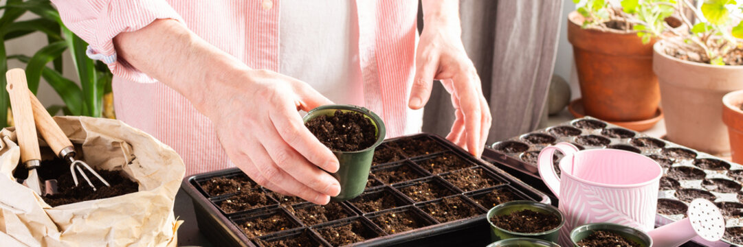 A man is focused on planting tomato seeds in small containers at home. The indoor setting features gardening tools, pots, and seed packets, signaling the start of spring gardening activities, banner