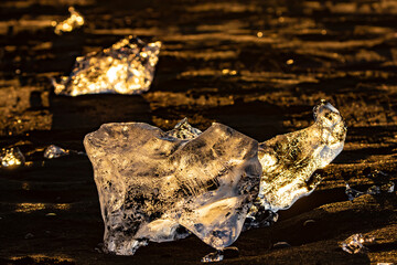 Golden evening light illuminates chunks of glacial ice on Diamond Beach, Iceland