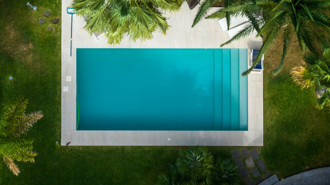 Perpendicular view from above of a swimming pool. The pool is located in a garden surrounded by palm trees, trees, and green grass. There is no one around the pool. Aerial closeup.