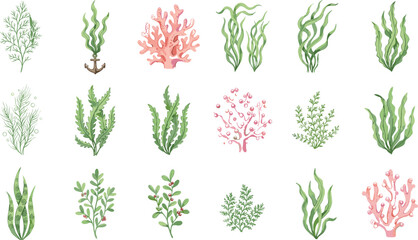 Stylized marine plants and coral illustrations in green and pink for ocean-themed design, education, crafts, and underwater decoration projects