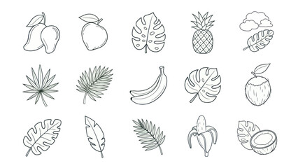 Fototapeta premium Vector illustrations of tropical fruits and leaves isolated on white background