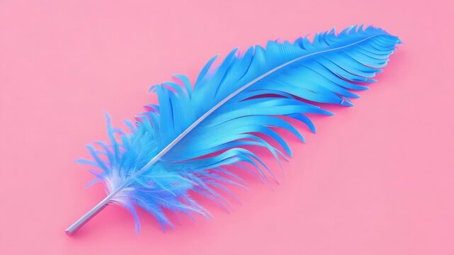 Video A single blue feather sits on a bright pink background