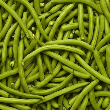fresh green beans