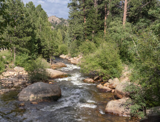 View of the Colorado's Fall River with Boulders, Forested Shoreline, and Mountains in the Distance