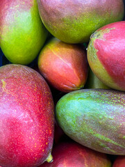 A pile of fresh ripe, juicy mangoes in the market. Food and fruit background. Top view, close-up. Fruits for sale in the supermarket.