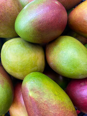 A pile of fresh and juicy mangoes , close-up. Food and fruit background. Fruits for sale in supermarket. Ripe colorful mangoes , harvest of tropival fruits. Health and vitamins concept.