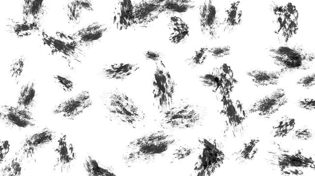 Abstract pattern of random black brush strokes with rough texture on a white background, Stop motion animation of fast shaking digital paint or ink effect