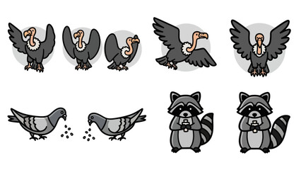 Fototapeta premium Cartoon vultures pigeons and raccoons illustrations for various design projects