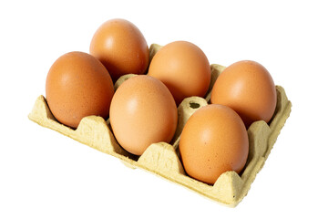 Six organic brown eggs in a carton cut out