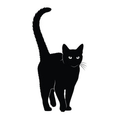 Elegant black cat standing with tail curled up silhouette