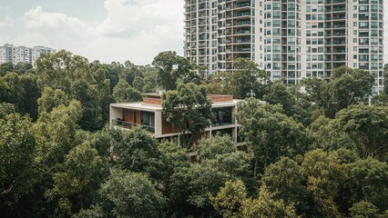 A house surrounded by dense trees in an urban area with high-rise buildings in the background.