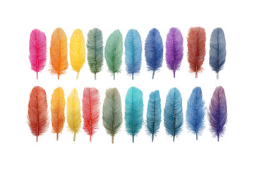 Illustration of vibrant multicolored feathers arranged in two rows isolated on transparent background for decoration or design