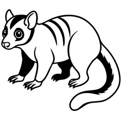 Cuscus Animal Vector Silhouette