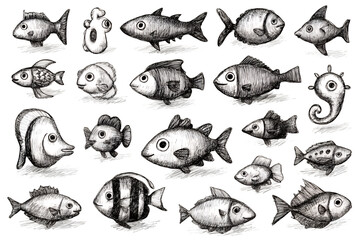 Illustration of black and white illustration of various fish species on transparent background