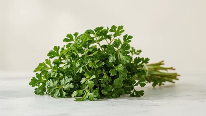 Fototapeta premium Fresh parsley herb, culinary ingredient, with vibrant green leaves and stems. Natural food, garnish, and seasoning. The concept of herbs and fresh greens.