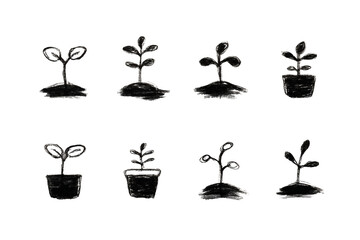 Illustration of black and white illustration of various small plants and seedlings in different pots and soil on transparent background