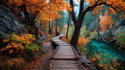 Wooden pathway through colorful trees in a vibrant forest during daytime in autumn season