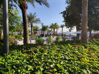 beach at Dubai Water Park