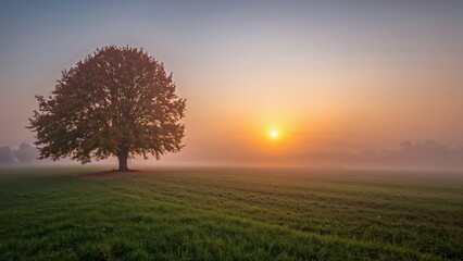 Tree and sunrise over green field at dawn. Nature and landscape scene. The concept of serenity and natural beauty. The sunrise symbolizes new beginnings.