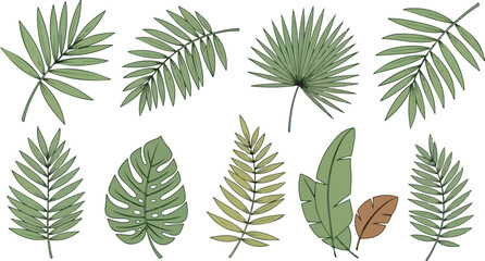  A clean botanical vector illustration featuring a diverse collection of tropical leaves arranged separately on a solid white background 3