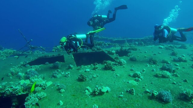 Group of scuba divers swim on the coral-covered board of the wreckship of Salem Express ferry, Slow motion of divers swim in blue depths examines at sunken ship