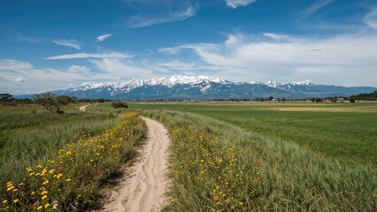 Open landscape with a dirt path, green fields, and snow-capped mountains in the distance under a blue sky with clouds.
