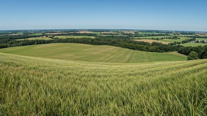 Naklejka premium A scenic view of rolling green fields and farmland under a clear blue sky.