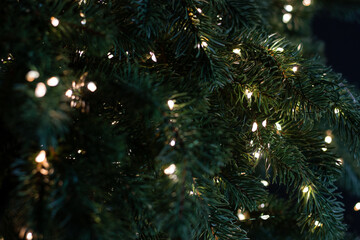 Christmas tree and garland in macro