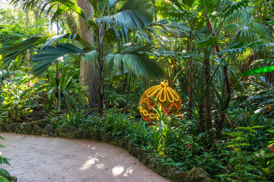 A gorgeous landscape at Pinecrest Gardens in Pinecrest  Florida USA