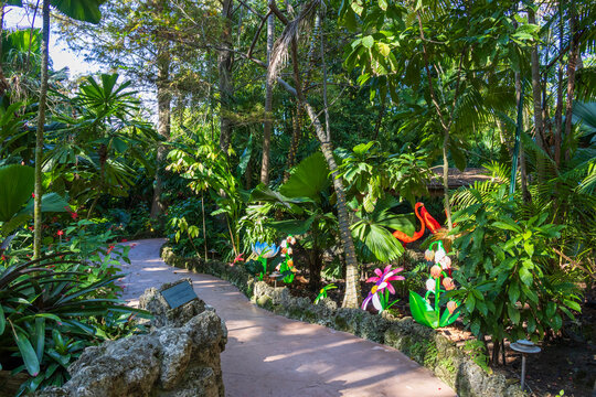 A gorgeous landscape at Pinecrest Gardens in Pinecrest  Florida USA