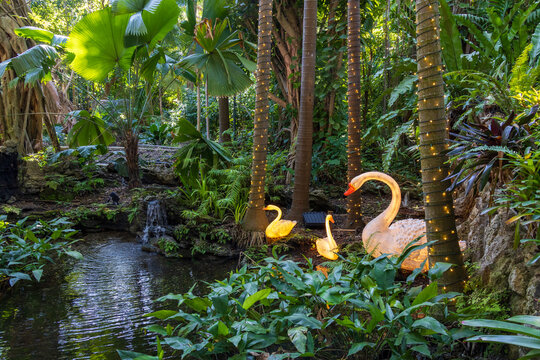 A gorgeous landscape at Pinecrest Gardens in Pinecrest  Florida USA