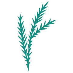 Fototapeta premium Vector icon teal green fern leaves vector illustration