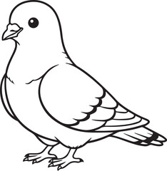 Pigeon illustrated in a soft minimal gentle bird character style with clean line art one line art