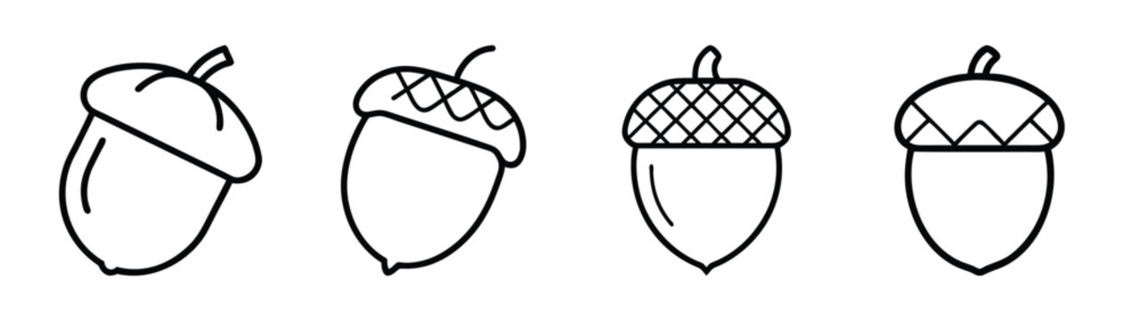Different types of acorn icons in simple black and white line art style for autumn designs Vector