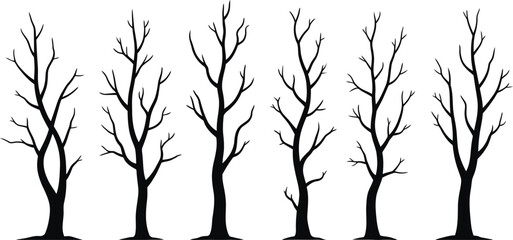 Obraz premium Silhouette of five leafless trees against a white background
