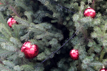 Bright red ornaments shine on a lush green Christmas tree